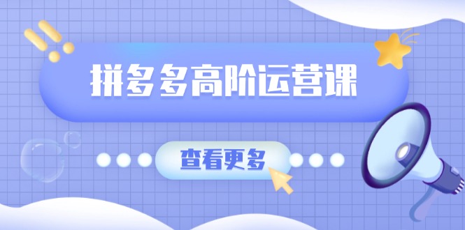 （14327期）拼多多高阶运营课：极致群爆款玩法，轻付费无尽复制，打造单品爆款之路-创客空间