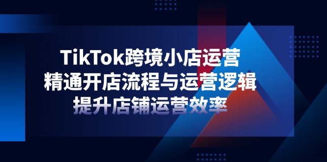 （14369期）TikTok跨境小店运营，精通开店流程与运营逻辑，提升店铺运营效率-创客空间