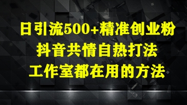日引流500+精准创业粉，抖音共情自热打法，工作室都在用的方法-创客空间