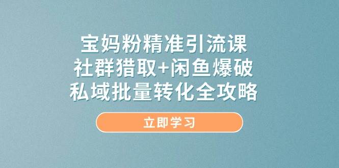 宝妈粉精准引流课，社群猎取+闲鱼爆破，私域批量转化全攻略-创客空间