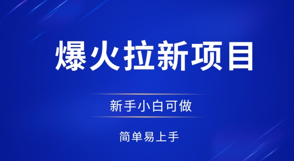 爆火拉新项目，有手就行，小白轻松入门，日入1张拉新整套流程-创客空间