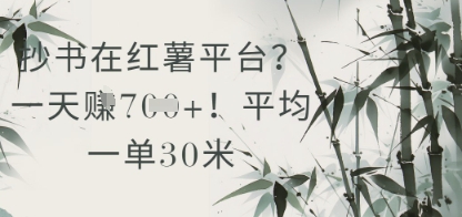 抄书在小红薯平台？平均一单30米，一天收益几张！-创客空间