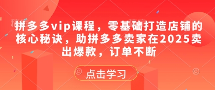 拼多多vip课程，零基础打造店铺的核心秘诀，助拼多多卖家在2025卖出爆款，订单不断-创客空间