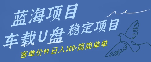 蓝海项目车载U盘稳定项目，挣的就是信息差，客单价99，日入几张简简单单-创客空间
