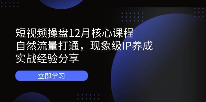 短视频操盘12月核心课程：自然流量打通，现象级IP养成，实战经验分享-创客空间