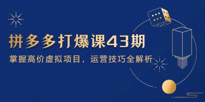拼多多打爆课第 43 期，掌握高价虚拟项目，运营技巧全解析（15节）-创客空间