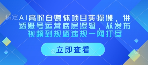 AI高阶自媒体项目实操课，讲透账号运营底层逻辑，从发布视频到规避违规一网打尽-创客空间