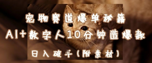 宠物赛道爆单秘籍：AI+数字人10分钟造爆款，日入1k-创客空间