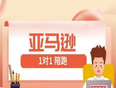 亚马逊1对1陪跑课(FBA/FBM精铺)跨境亚马逊教程-创客空间