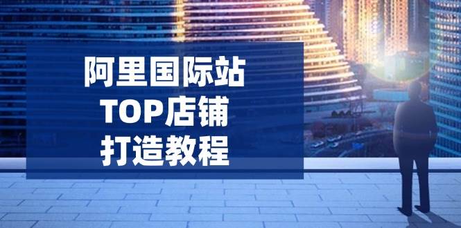 阿里国际站TOP店铺打造教程：涵盖平台到高阶，解决运营难题，提升询盘-创客空间
