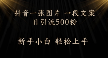 每天2分钟，抖音一张图片 一段文案日引流500粉-创客空间