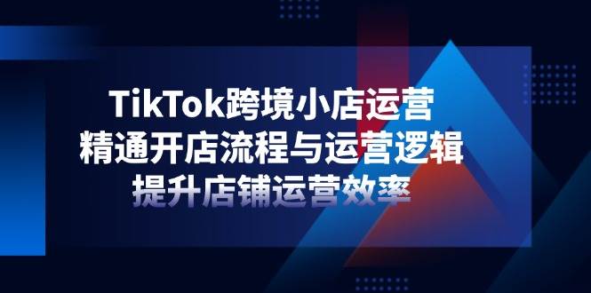 TikTok跨境小店运营，精通开店流程与运营逻辑，提升店铺运营效率-创客空间
