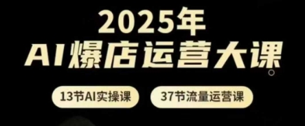 2025年AI爆店运营大课，13节AI实操课+37节流量运营课-创客空间