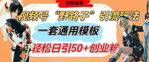 视频号“野路子”玩法，评论区疯狂截流，一套模板单日单号引流50+创业粉-创客空间