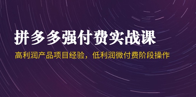 （14874期）拼多多强付费实战课-44期，高利润产品项目经验，低利润微付费阶段操作-创客空间