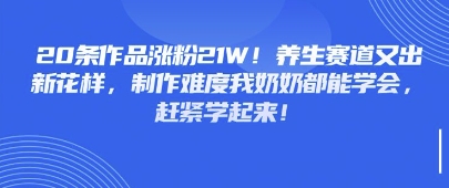 20条作品涨粉21W！养生赛道又出新花样，制作难度我奶奶都能学会，赶紧学起来-创客空间