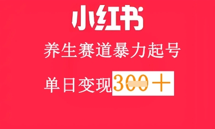 小红书养生赛道，暴力起号，轻松日入3张+-创客空间