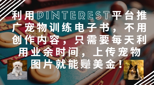 利用Pinterest平台推广宠物训练电子书，不用创作内容，只需要每天利用业余时间，上传宠物图片就能挣美金!-创客空间