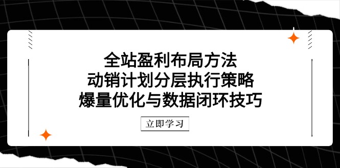 （14698期）全站盈利布局方法：动销计划分层执行策略，爆量优化与数据闭环技巧-创客空间