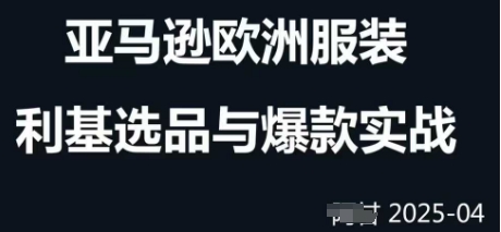 跨境电商选品案例24-25年，聚焦跨境电商选品策略与运营优化，助力卖家挖掘蓝海市场-创客空间