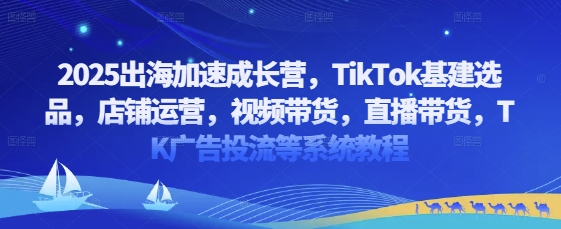 2025出海加速成长营，TikTok基建选品，店铺运营，视频带货，直播带货，TK广告投流等系统教程-创客空间