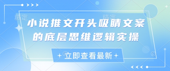 小说推文开头吸睛文案的底层思维逻辑实操-创客空间