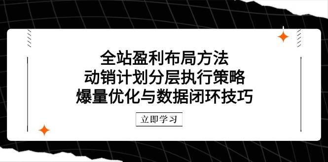 全站盈利布局方法：动销计划分层执行策略，爆量优化与数据闭环技巧-创客空间