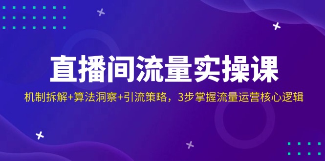 （14122期）直播间流量实操课：机制拆解+算法洞察+引流策略，3步掌握流量运营核心逻辑-创客空间