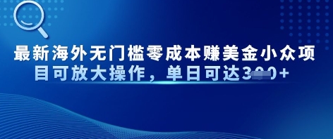 最新海外无门槛美金小众项目可放大操作，单日可达3张-创客空间