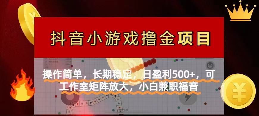 （14290期）【抖音小游戏发行人计划项目】操作简单，长期稳定，日盈利500+，可工作…-创客空间