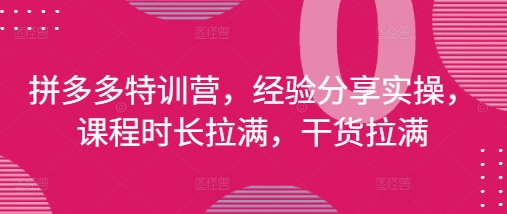 拼多多特训营，经验分享实操，课程时长拉满，干货拉满(更新25年4月)-创客空间