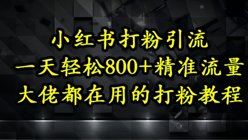 小红书打粉引流，一天轻松500+精准流量，大佬都在用的打粉教程-创客空间