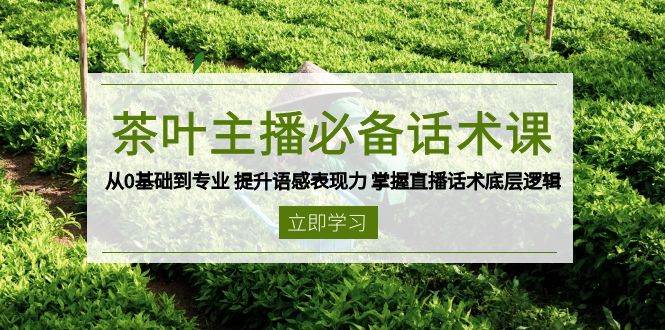茶叶主播必备话术课 从0基础到专业 提升语感表现力 掌握直播话术底层逻辑-创客空间