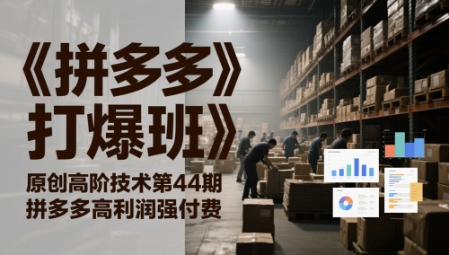 《拼多多打爆班》原创高阶技术第44期，拼多多高利润强付费-创客空间