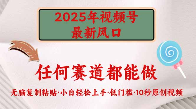 （14453期）2025年视频号新风口，低门槛只需要无脑执行-创客空间