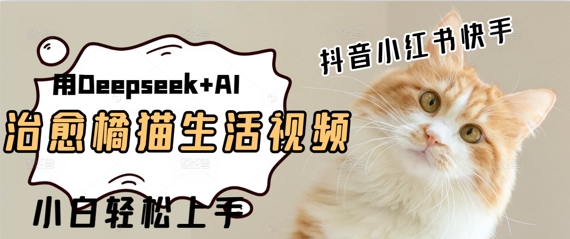 疯狂火爆，用Deepseek+AI做治愈橘猫系列视频，小白轻松制作+快速拿到结果-创客空间