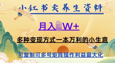 在小红书上卖养生资料，月入1w+，多种变现方式一本万利的小生意-创客空间