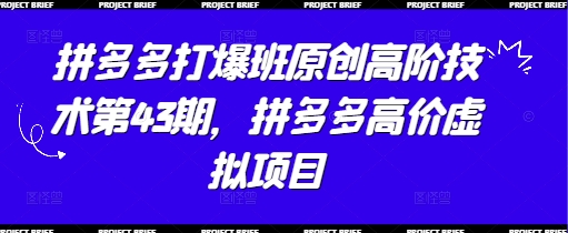 拼多多打爆班原创高阶技术第43期，拼多多高价虚拟项目-创客空间