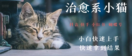 拆解，疯狂火爆！抖音，小红书，视频号小猫治愈的视频，轻松制作+快速拿到结果-创客空间