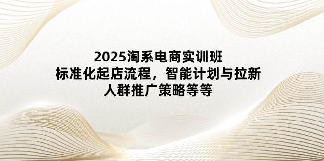 2025淘系电商实训班：标准化起店流程，智能计划与拉新，人群推广策略等等-创客空间