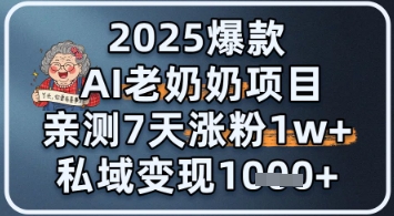 2025爆款 AI 老奶奶项目：亲测 7 天涨粉 1W+，私域变现 1k+-创客空间