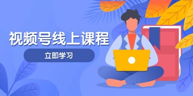 视频号实战课程，轻IP打造与运营技巧，掌握核心方法与策略-创客空间